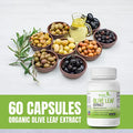 Olive Leaf Extract